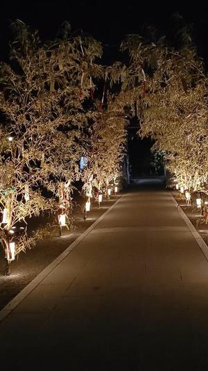 若林美加子の写メ日記｜プレジデントハウス 吉原大衆店ソープ