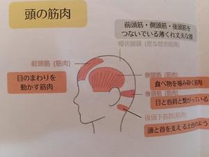 若林美加子の写メ日記｜プレジデントハウス 吉原大衆店ソープ