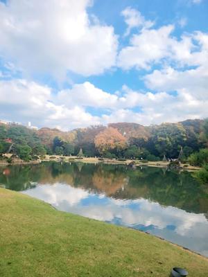 新山奈々の写メ日記|プレジデントハウス 吉原大衆店ソープ