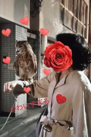 白川瑛梨の写メ日記｜プレジデントハウス 吉原大衆店ソープ