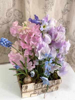 成瀬まこの写メ日記｜プレジデントハウス 吉原大衆店ソープ