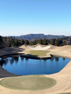 成瀬まこの写メ日記｜プレジデントハウス 吉原大衆店ソープ
