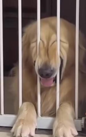 成瀬まこの写メ日記｜プレジデントハウス 吉原大衆店ソープ