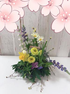 成瀬まこの写メ日記｜プレジデントハウス 吉原大衆店ソープ