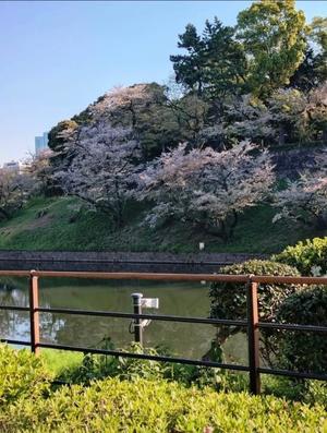 天海佑梨の写メ日記｜プレジデントハウス 吉原大衆店ソープ