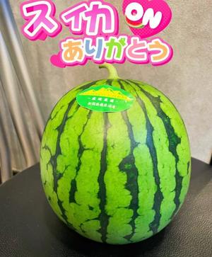 湧井ゆかりの写メ日記｜プレジデントハウス 吉原大衆店ソープ