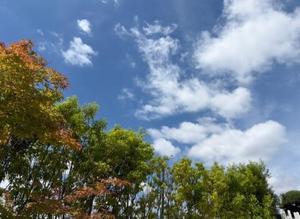 湧井ゆかりの写メ日記｜プレジデントハウス 吉原大衆店ソープ