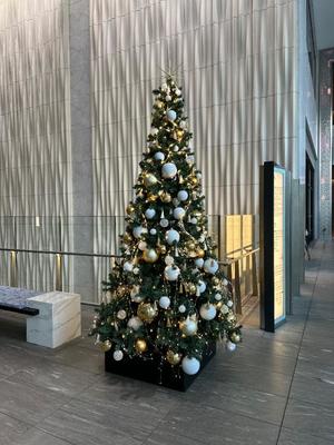 水川星名の写メ日記｜プレジデントハウス 吉原大衆店ソープ