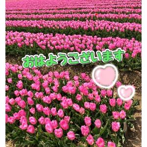 篠原詩織の写メ日記｜プレジデントハウス 吉原大衆店ソープ