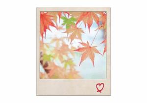 篠原詩織の写メ日記｜プレジデントハウス 吉原大衆店ソープ