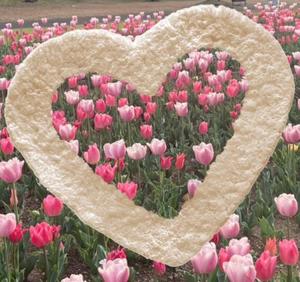 篠原詩織の写メ日記｜プレジデントハウス 吉原大衆店ソープ