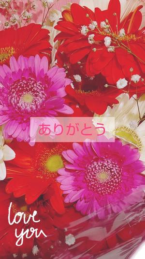 渡瀬琴音の写メ日記｜プレジデントハウス 吉原大衆店ソープ