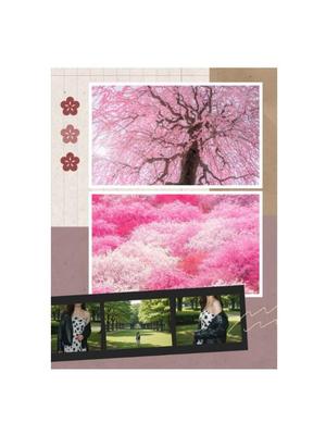 渡瀬琴音の写メ日記｜プレジデントハウス 吉原大衆店ソープ