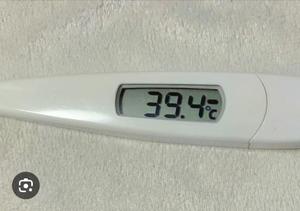 柊 月帆の写メ日記｜プレジデントハウス 吉原大衆店ソープ