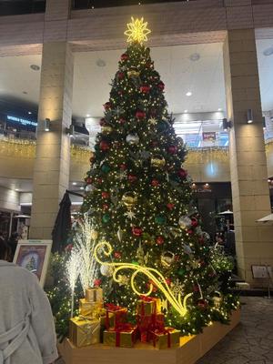 一条美和の写メ日記｜プレジデントハウス 吉原大衆店ソープ