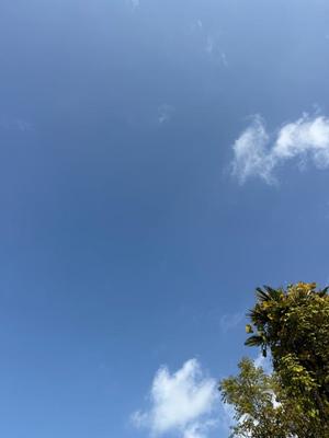 高橋さつきの写メ日記｜プレジデントハウス 吉原大衆店ソープ