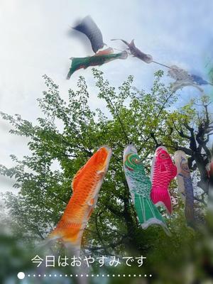 黒木愛梨の写メ日記｜プレジデントハウス 吉原大衆店ソープ