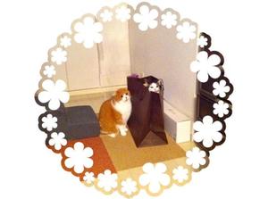 桐谷かなの写メ日記｜プレジデントハウス 吉原大衆店ソープ