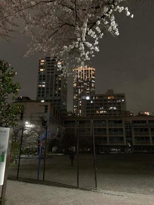 桐谷かなの写メ日記｜プレジデントハウス 吉原大衆店ソープ