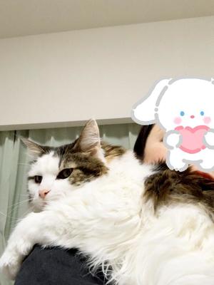 桐谷かなの写メ日記｜プレジデントハウス 吉原大衆店ソープ