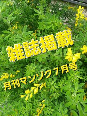 吉原未知留の写メ日記｜プレジデントハウス 吉原大衆店ソープ