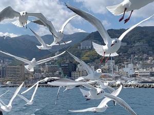 琴音みやびの写メ日記｜プレジデントハウス 吉原大衆店ソープ