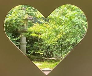 橘 みわの写メ日記｜プレジデントハウス 吉原大衆店ソープ