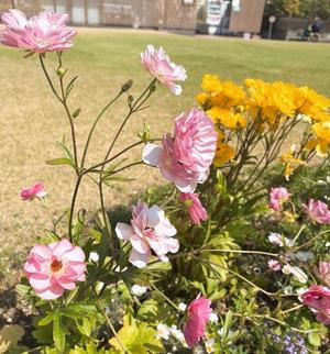 橘 みわの写メ日記｜プレジデントハウス 吉原大衆店ソープ