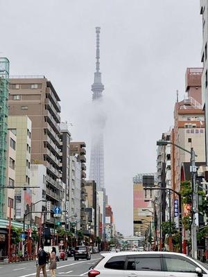 飛鳥  南の写メ日記｜プレジデントハウス 吉原大衆店ソープ