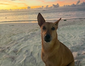 Renonの写メ日記｜プロポーション 吉原高級店ソープ