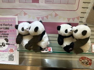 Chitoseの写メ日記｜プロポーション 吉原高級店ソープ