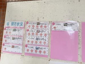 Chitoseの写メ日記｜プロポーション 吉原高級店ソープ