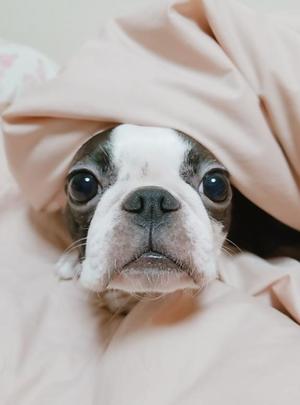 愛原よし乃の写メ日記｜ローテンブルク 吉原高級店ソープ