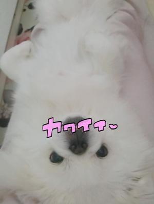 愛原よし乃の写メ日記｜ローテンブルク 吉原高級店ソープ