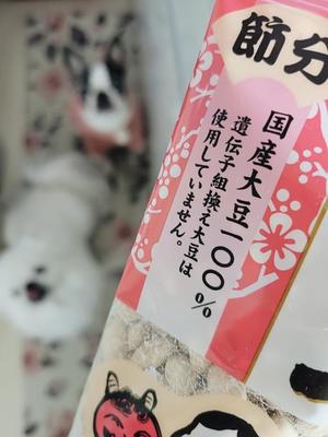 愛原よし乃の写メ日記｜ローテンブルク 吉原高級店ソープ