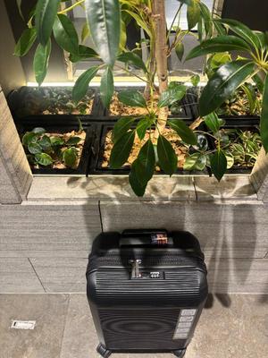 大桃かれんの写メ日記｜ローテンブルク 吉原高級店ソープ