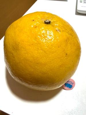 本多真歩の写メ日記｜ローテンブルク 吉原高級店ソープ