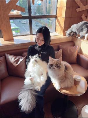 八代麻里江の写メ日記｜ローテンブルク 吉原高級店ソープ