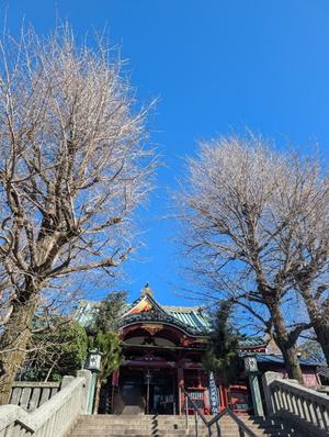 吉木アンの写メ日記｜ローテンブルク 吉原高級店ソープ