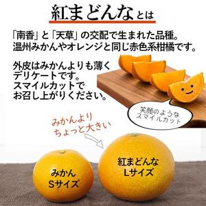 長門明奈の写メ日記｜ローテンブルク 吉原高級店ソープ