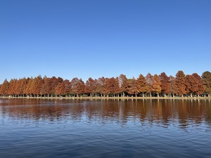 天野いくみの写メ日記｜ローテンブルク 吉原高級店ソープ