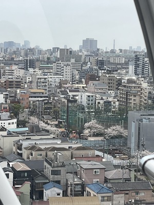 天野いくみの写メ日記｜ローテンブルク 吉原高級店ソープ