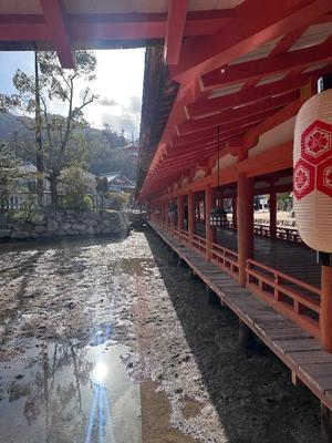 夢野 雅の写メ日記｜ローテンブルク 吉原高級店ソープ