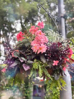 山岡鈴蘭の写メ日記｜ローテンブルク 吉原高級店ソープ