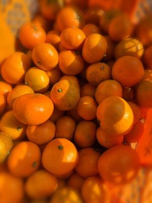 山岡鈴蘭の写メ日記｜ローテンブルク 吉原高級店ソープ