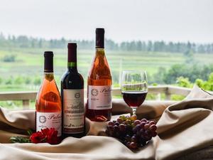 宝生 雫の写メ日記｜ローテンブルク 吉原高級店ソープ