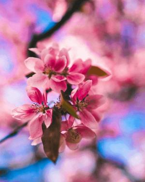 八木香苗の写メ日記｜ローテンブルク 吉原高級店ソープ