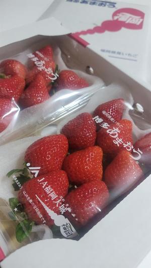 八木香苗の写メ日記｜ローテンブルク 吉原高級店ソープ