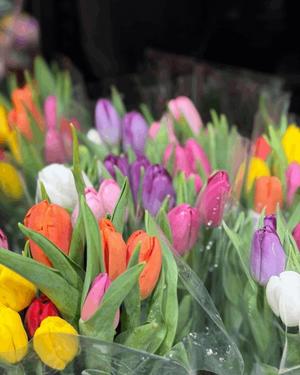 八木香苗の写メ日記｜ローテンブルク 吉原高級店ソープ