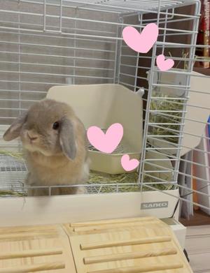雪平奈々の写メ日記｜ローテンブルク 吉原高級店ソープ